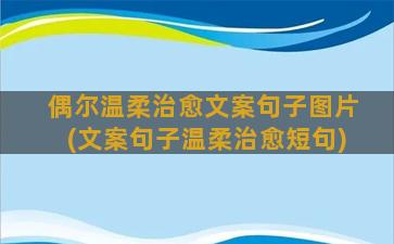 偶尔温柔治愈文案句子图片(文案句子温柔治愈短句)