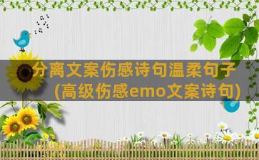 分离文案伤感诗句温柔句子(高级伤感emo文案诗句)