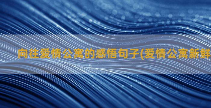 向往爱情公寓的感悟句子(爱情公寓新鲜感痴迷症)