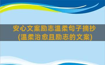 安心文案励志温柔句子摘抄(温柔治愈且励志的文案)