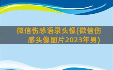 微信伤感语录头像(微信伤感头像图片2023年男)