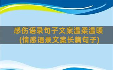 感伤语录句子文案温柔温暖(情感语录文案长篇句子)