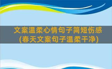 文案温柔心情句子简短伤感(春天文案句子温柔干净)