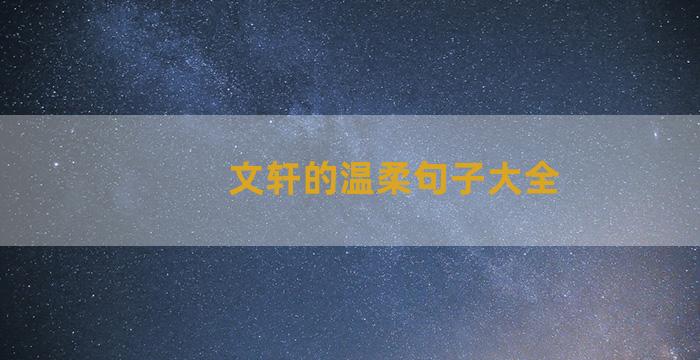 文轩的温柔句子大全