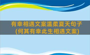 有幸相遇文案温柔夏天句子(何其有幸此生相遇文案)