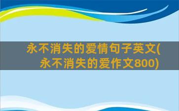 永不消失的爱情句子英文(永不消失的爱作文800)