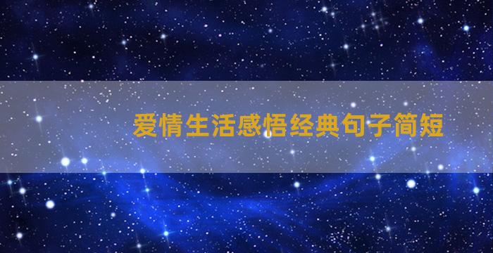 爱情生活感悟经典句子简短