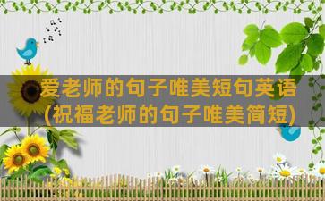 爱老师的句子唯美短句英语(祝福老师的句子唯美简短)