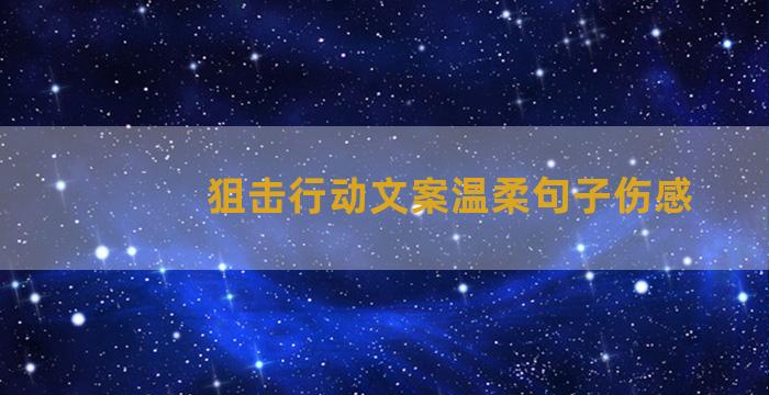 狙击行动文案温柔句子伤感