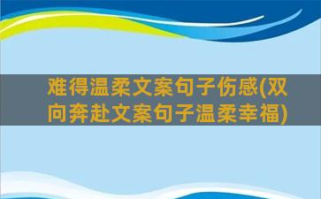 难得温柔文案句子伤感(双向奔赴文案句子温柔幸福)